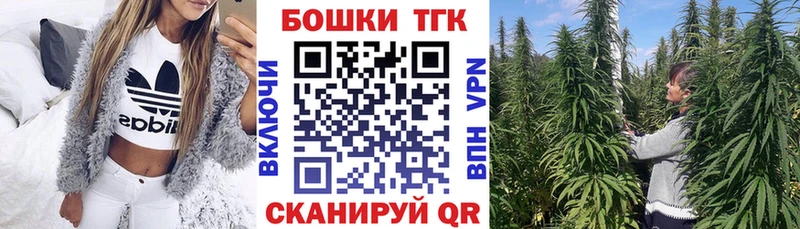 Шишки марихуана сатива  Завитинск 